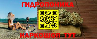 прущие грибы Бугуруслан