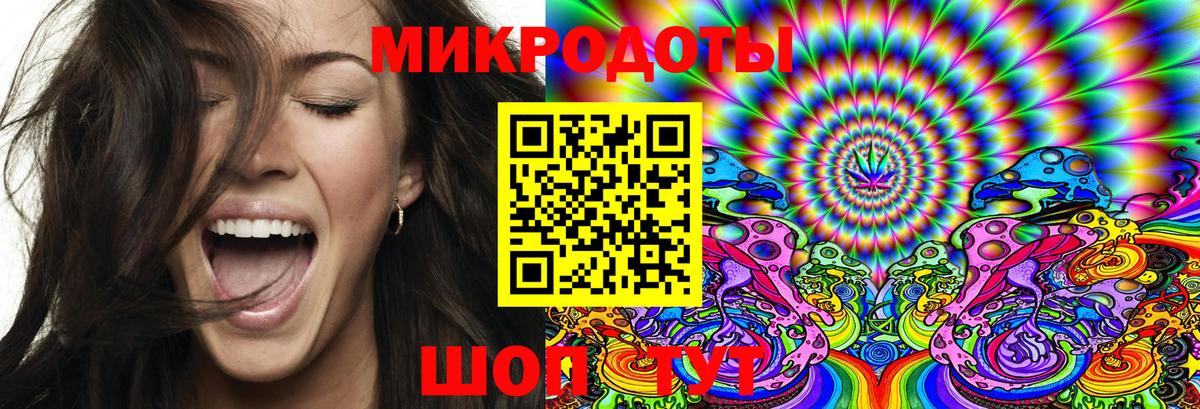 Псилоцибиновые грибы Psilocybe Киреевск