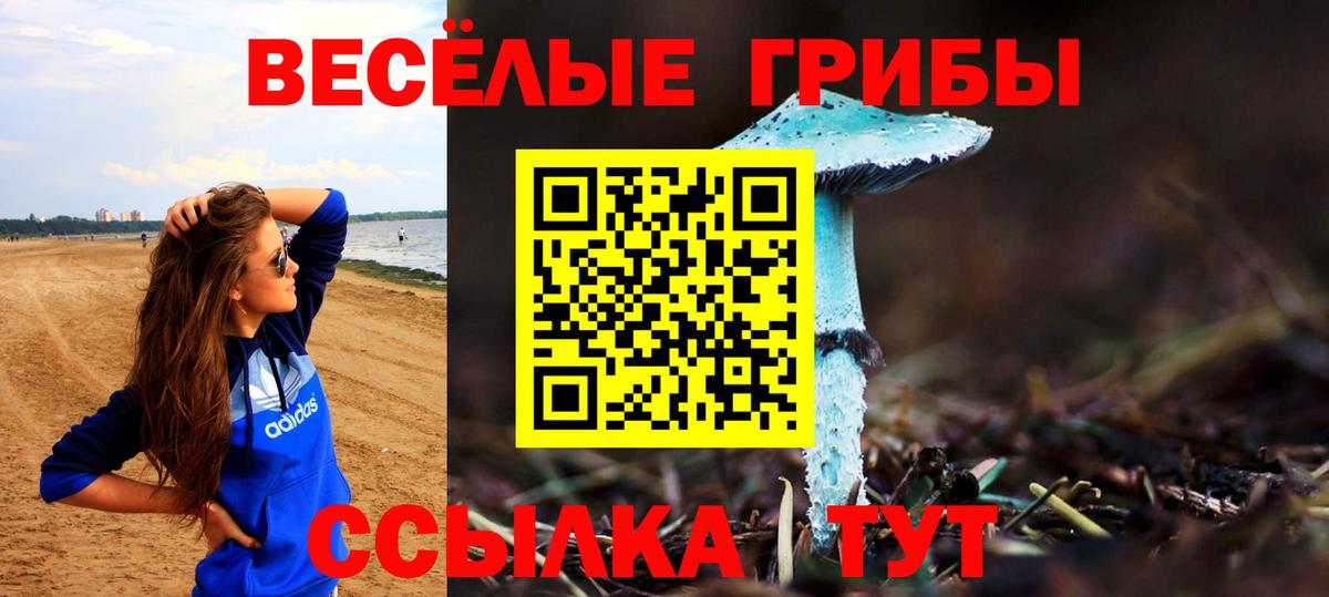 Галлюциногенные грибы мухоморы  купить  цена  Киреевск  Вход с VPN 